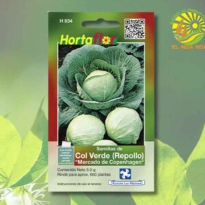COL VERDE REPOLLO SEMILLA HORTAFLOR SOBRE DE 5GRS