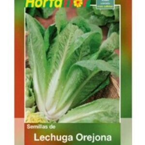 LECHUGA OREJONA SEMILLA HORTAFLOR SOBRE DE 2GRS
