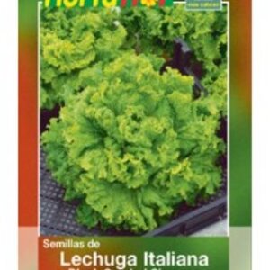SEMILLA DE LECHUGA BLACK S SIMPSOR HORTAFLOR