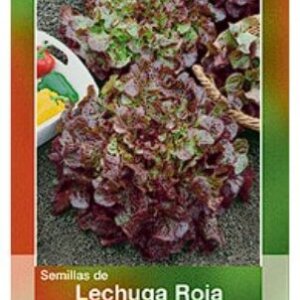 LECHUGA ROJA SANGRIA SEMILLA HORTAFLOR SOBRE DE 1GR