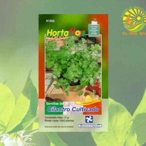 CILANTRO CULTIVADO SEMILLA HORTAFLOR SOBRE DE 12GRS