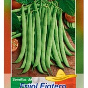 FRIJOL EJOTERO SEMILLA HORTAFLOR SOBRE DE 20GRS
