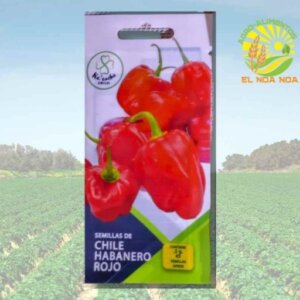 SOBRE DE SEMILLA DE CHILE HABANERO ROJO KAANCHE