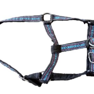 JAQUIMA ECONOMICA SERGIO