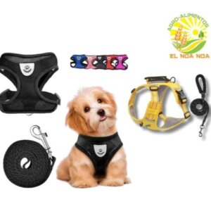 JUEGO PECHERA MALLA CON CORREA CHICA