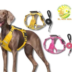 JUEGO DE PECHERA MALLA CON CORREA GRANDE 1.5 MTS