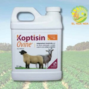 KOPTISIN OVINE DE 1 LITRO