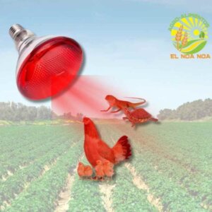 LAMPARA DE ALUMINIO CON SOQUET DE PORCELANA Y CABLE LARGO PARA FOCO INFRAROJO CRIADORA AVES