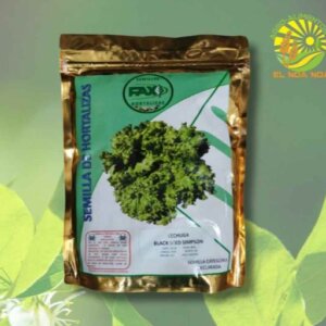 LECHUGA BLACK SEEDED SIMPSON FAX * KG .454GRS