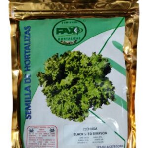 LECHUGA SOBRE BLACK SEED 2 GRS