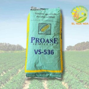 MAIZ VS-536 X KILO PROASE