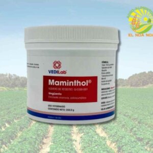 MAMINTHOL 200 GR POMADA