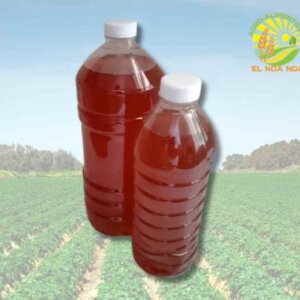 MIEL DE ABEJA PURA DE 1L DE YUCATAN DZIDZILCHE