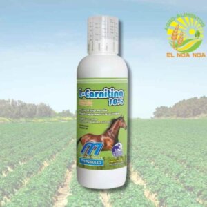 L-CARNITINA 10% - 1 L SUSP ORA