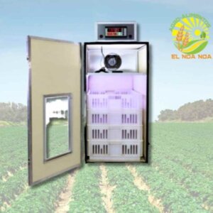 NACEDORA DE 400 POLLITOS