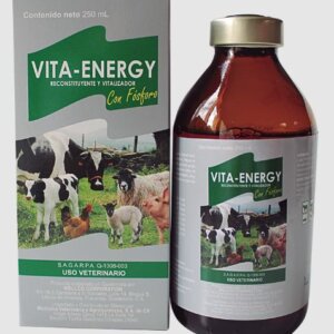 VITA-ENERGY 250 ML RECONSTITUYENTE
