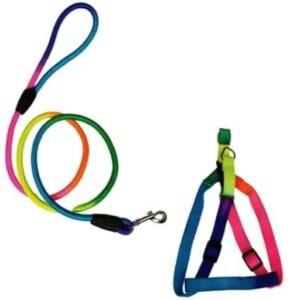 CORREA CON PECHERA ARCOIRIS MEDIDA 120CMS SUNNY