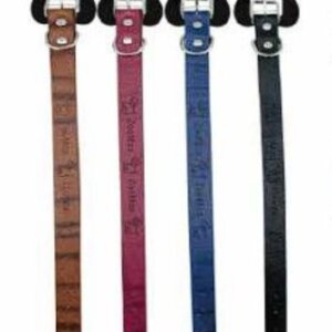 COLLAR TIPO PIEL DE 2.5CMS PETS COLORES SURTIDOS SUNNY