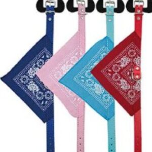 COLLAR PARA PERRITOS VARIOS COLORES DE 44 CM