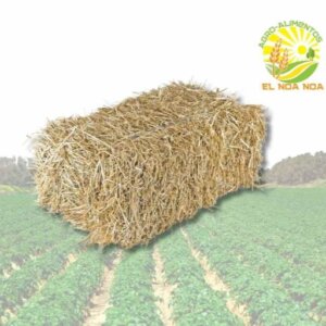 PACA DE ZACATE BOMBAZA DE PRIMERA