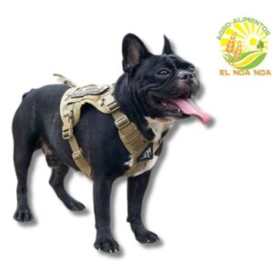 PECHERA 4 LADOS ESCALERA GRANDE