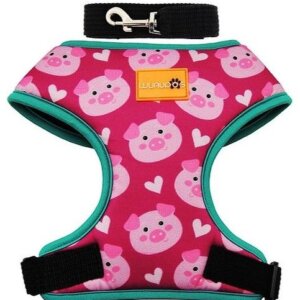 PECHERA TALLA 3 WUAPOS DISEÑOS SURTIDOS