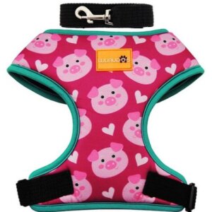 PECHERA TALLA 1 WUAPO DISEÑOS SURTIDOS