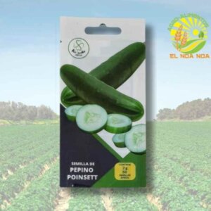 SOBRE DE SEMILLA DE PEPINO POINSET KAANCHE