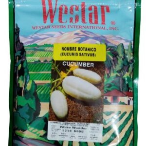 PEPINO WHITE WONDER X GRAMO