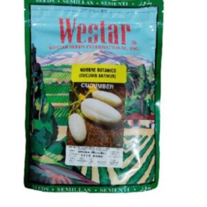 PEPINO WHITE WONDER * KG