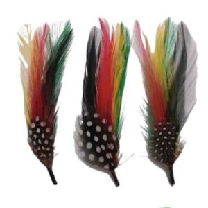 PLUMA PARA SOMBRERO  TOMBSTONE FINA NUMERO 1