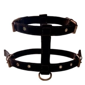 PECHERA MEDIANA LISA REFORZADA