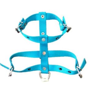 PECHERA P PERRO NYLON DE COLORES CHICA