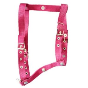 PECHERA P PERRO NYLON DE COLORES MEDIANA