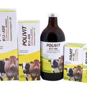 POLIVIT B12+ADE DE 250 ML