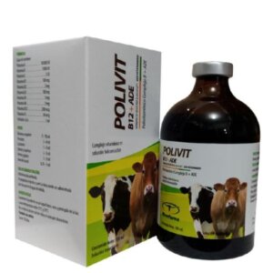 POLIVIT B12+ADE DE 100 ML