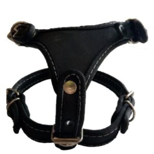 PECHERA PERRO PIEL CON RIBETE #3 CHICA