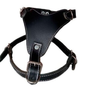 PECHERA P PERRO PIEL TRIANGULO #4 MEDIANA