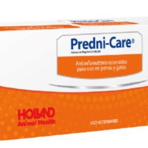 PREDNISILONA  X TABLETA