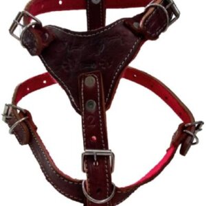 PECHERA REFORZADA DE PIEL CHICA #2 *SERGIO*