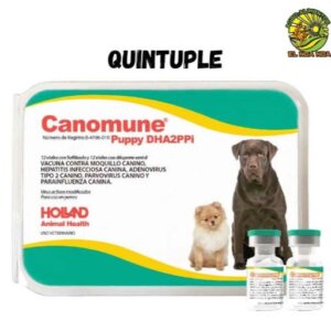 VACUNA QUINTUPLE CANOMUNE PUPPY DHA2PPI 1DS HOLLAND