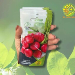 RABANO SOBRE CHAMPION 7GRS MARCA KAANCHE