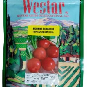 SEMILLA RABANO WESTAR CHAMPION X GRAMOS