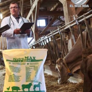 SAL MINERAL NATURE MAX L.A (CONSUMO LIBRE TODAS LAS ESPECIES) EQP DE 20 KG