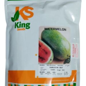 SANDIA CHARLESTON GREY WESTAR * KG