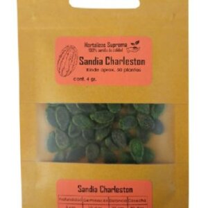 SANDIA SOBRE CHARLESTON GREY 4GRS
