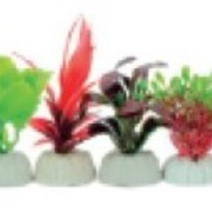 PLANTA IMPORTADA SUNNY VARIOS DISEÑOS Y COLORES 2´ (BOLSA AZUL CON 10 PLANTAS)