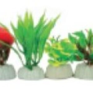 PLANTA IMPORTADA SUNNY VARIOS DISEÑOS Y COLORES 2´ (BOLSA VERDE CON 10 PLANTAS)