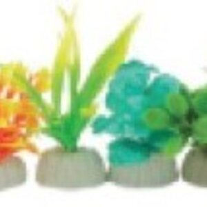 PLANTA IMPORTADA SUNNY VARIOS DISEÑOS Y COLORES 2´