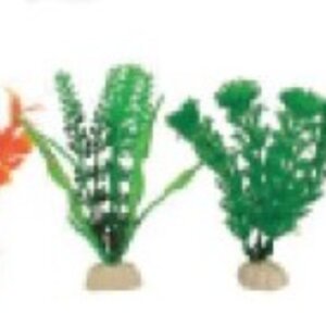 PLANTA IMPORTADA SUNNY VARIOS DISEÑOS Y COLORES 4´